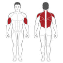 Steelflex Plate Load 2 Lat Pull Down/Back Row Machine - PL2200-BR