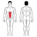 Steelflex Plate Load Abdominal Crunch PLAC-BR