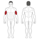 Steelflex Plate Load Biceps Curl - PLBC-BR