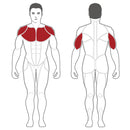 Steelflex Plate Load Bench Press - PLBP-BR